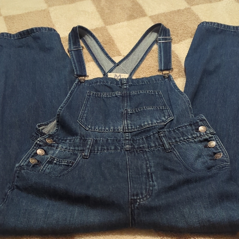 We The Free Ziggy Denim Overalls